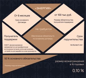 Поручительство по кредитному договору/договору займа «ЭНЕРГИЯ»